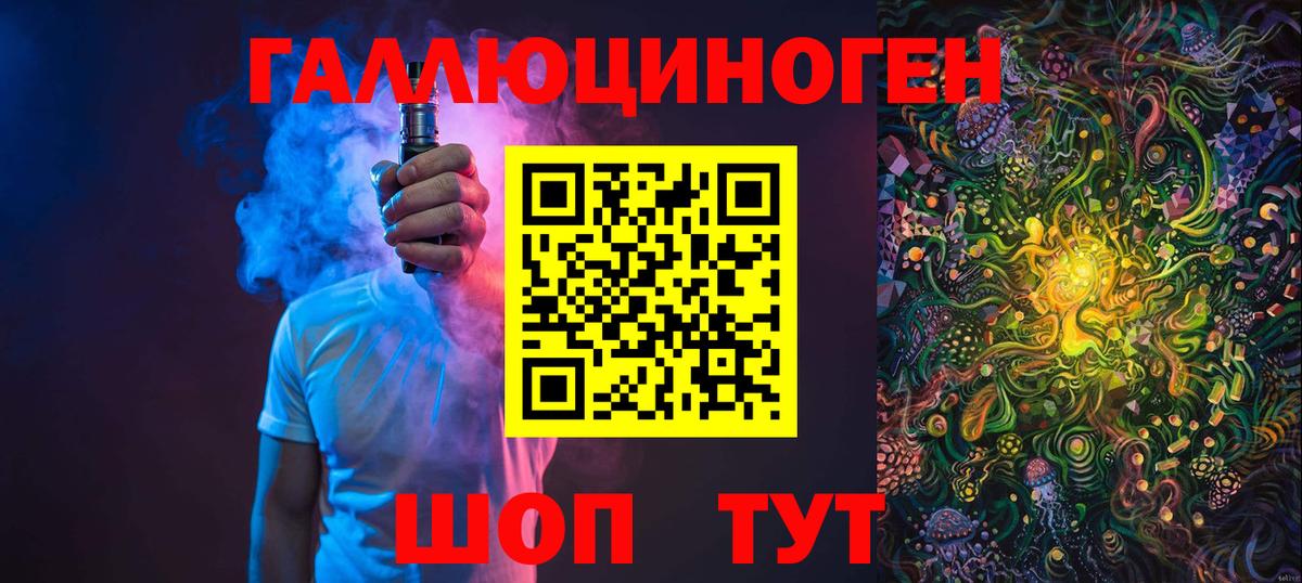 Галлюциногенные грибы Psilocybine cubensis Гатчина