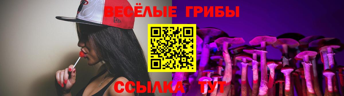 Гатчина  Галлюциногенные грибы ЛСД  Вход с VPN  Галлюциногенные грибы мухоморы 